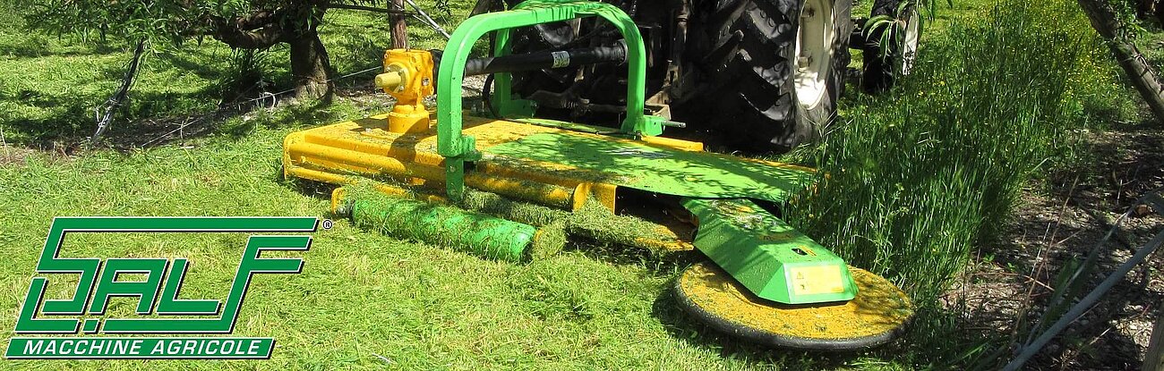 Grasschneidenmaschine DEA/I